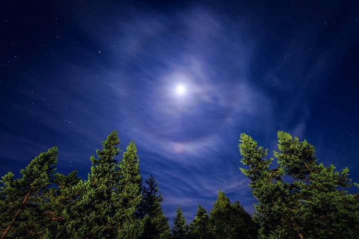 starry night sky