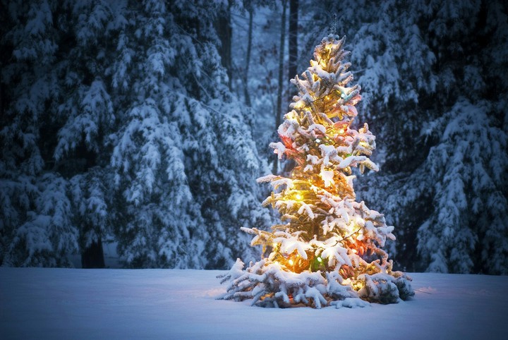 xmas
