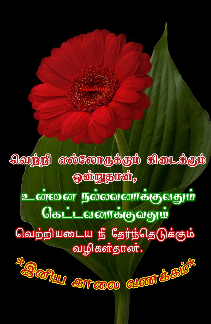 இனிய காலை வணக்கம்
