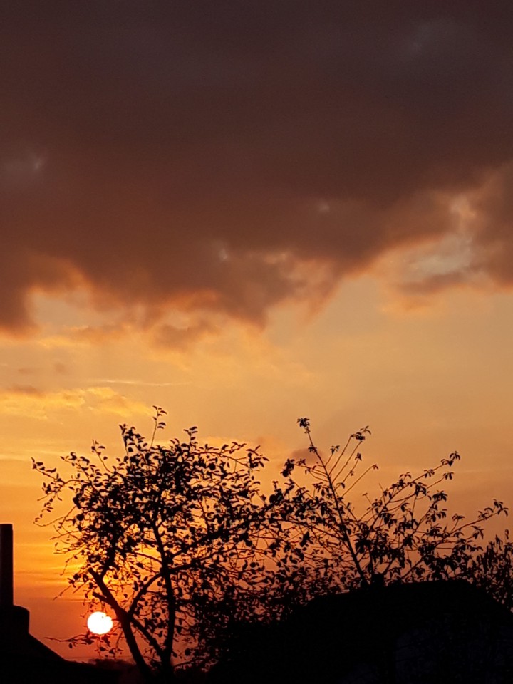 sunset