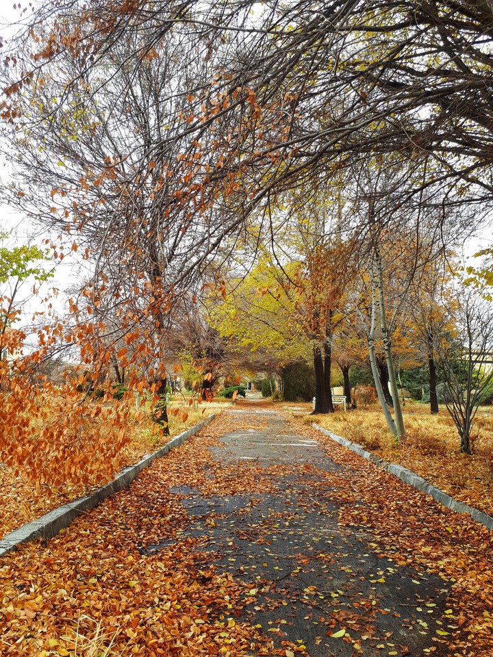 Walking with you would be great here?
