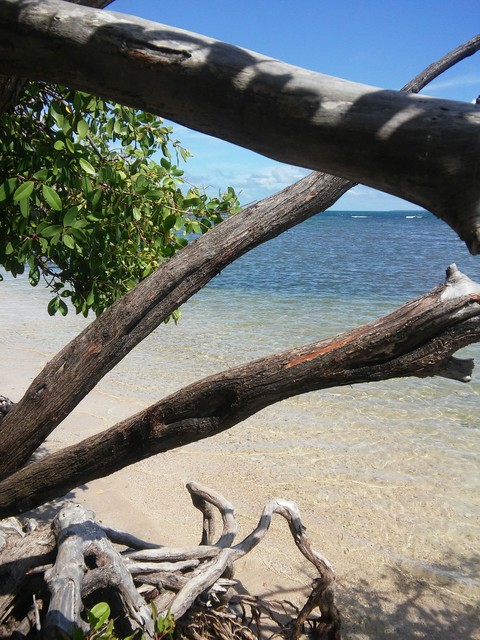 La Guancha.Ponce/PR ISLA DEL ENCANTO#1
