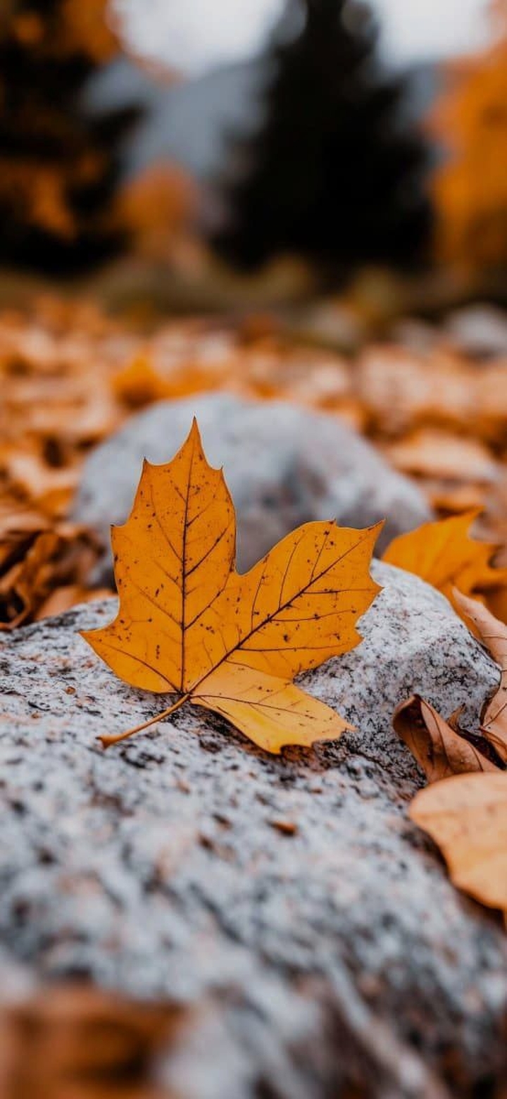 Lone leaf (AI modified)
