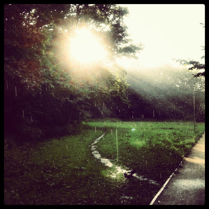 Rainy day