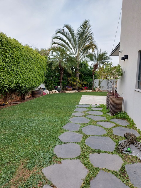 beautiful backyard