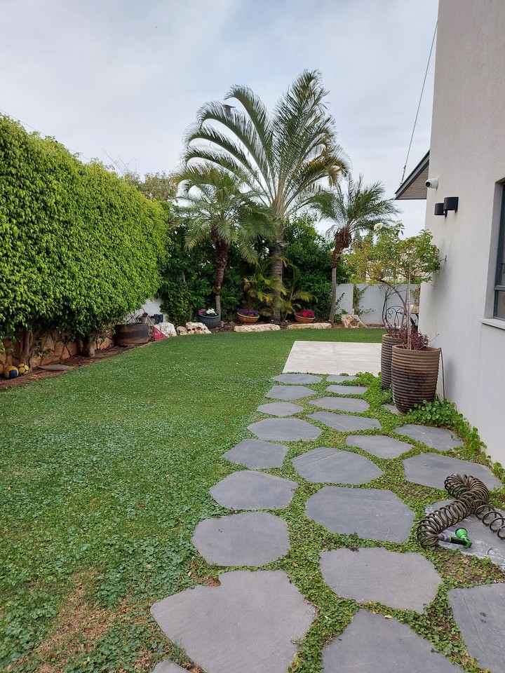 beautiful backyard