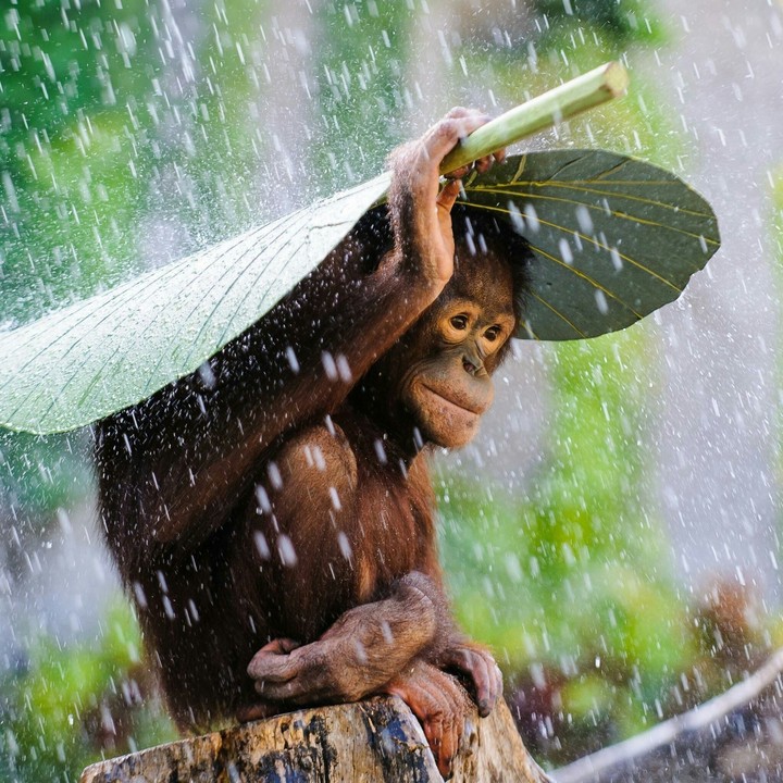 what a rainy day...