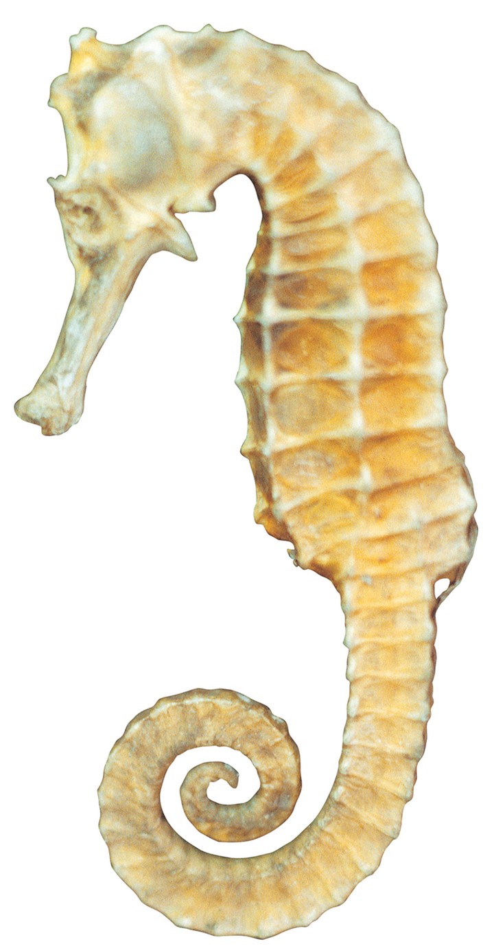 의학