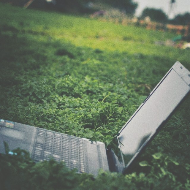 laptop