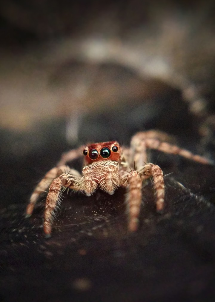 an awesome poser