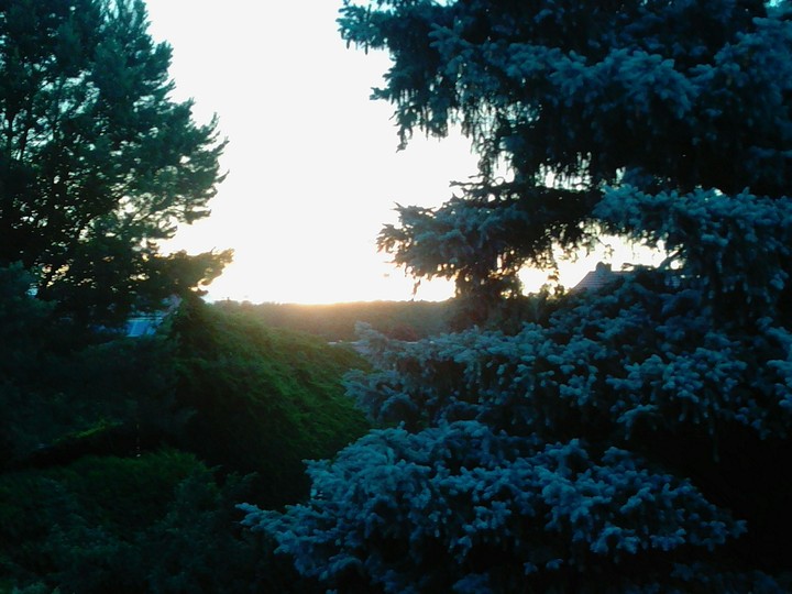 The Horizon