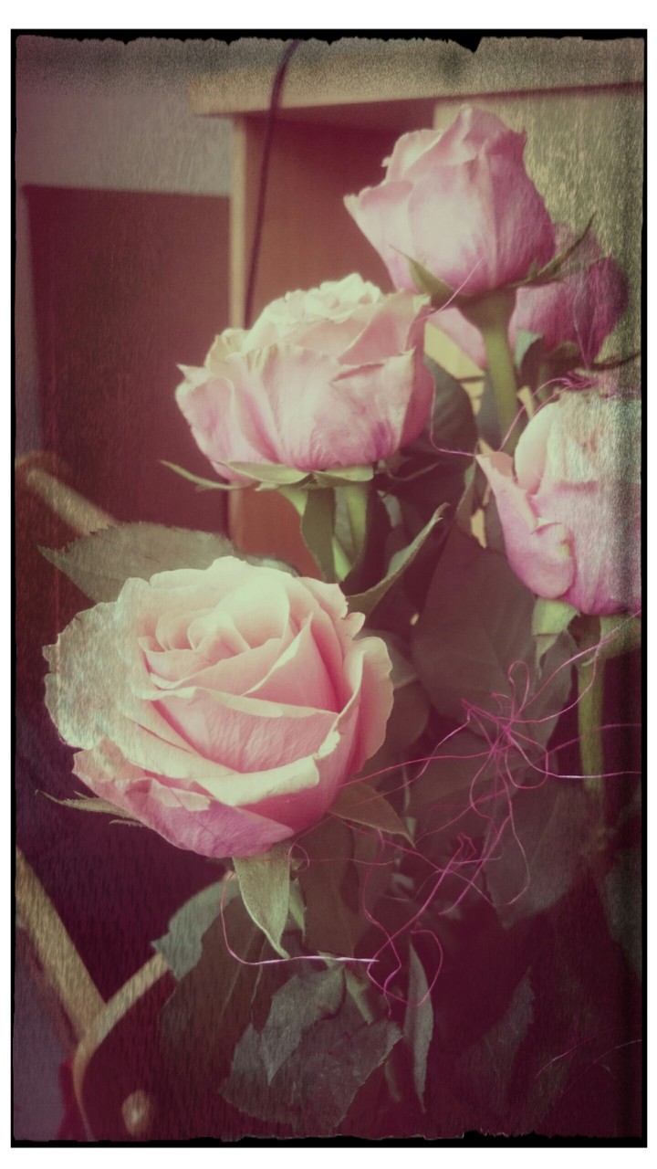 roses