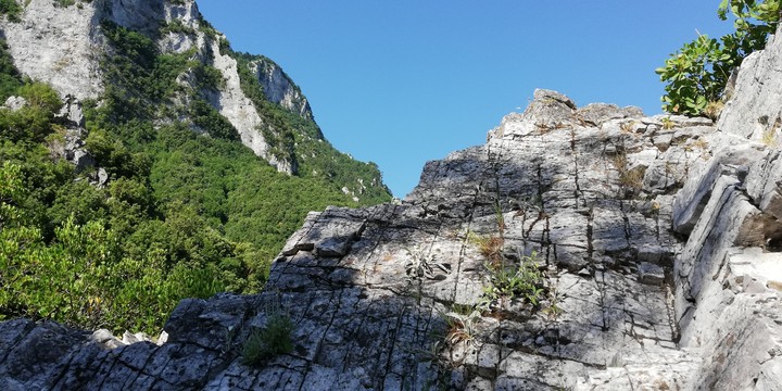 Rock