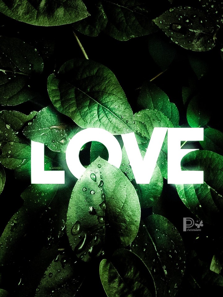 All You Need Is Love( ˘ ³˘)......