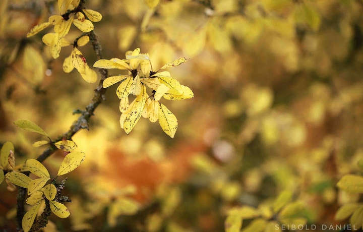 herbstlich