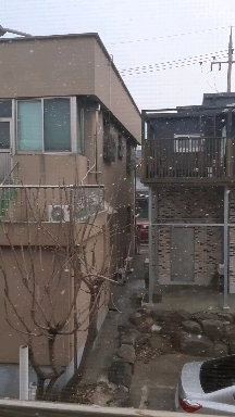겨울 눈 sonw
