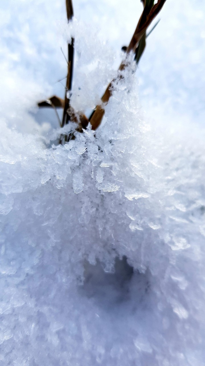 crystal snow