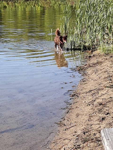 lake, fen वॉलपेपर