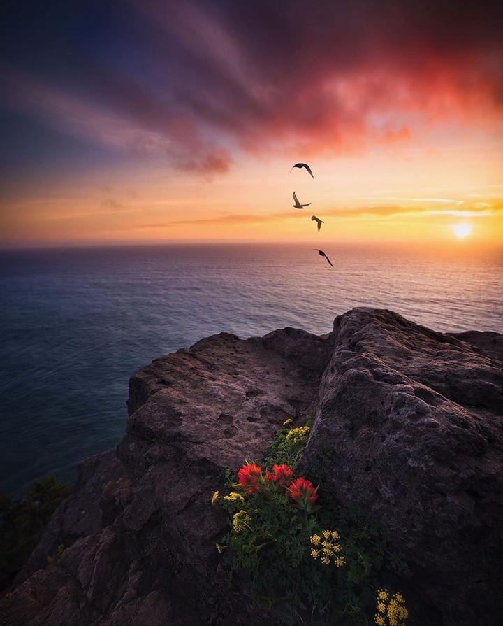 Sea Sunset