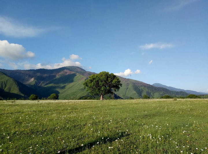 Beautiful Georgia