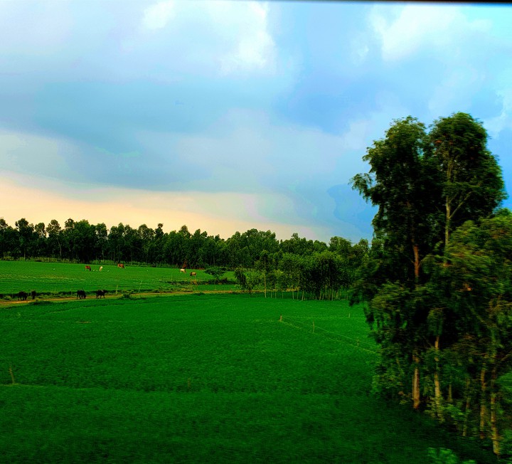 green