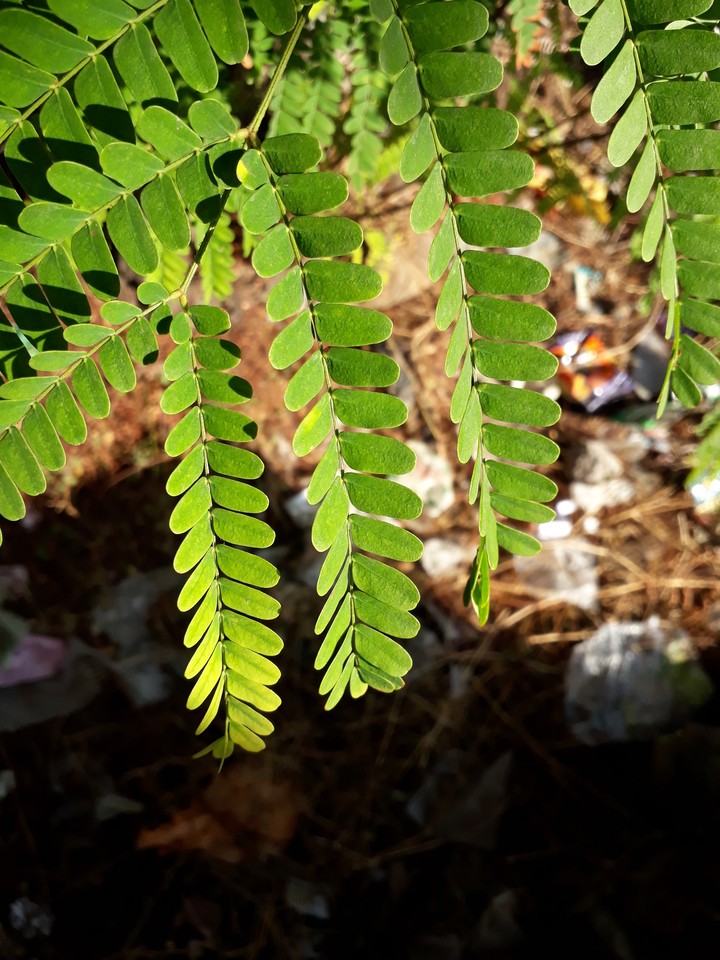 beautiful nature