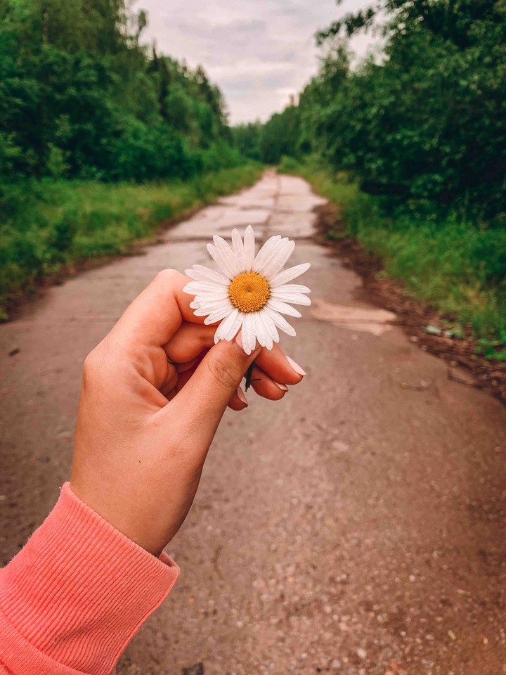 summer memories