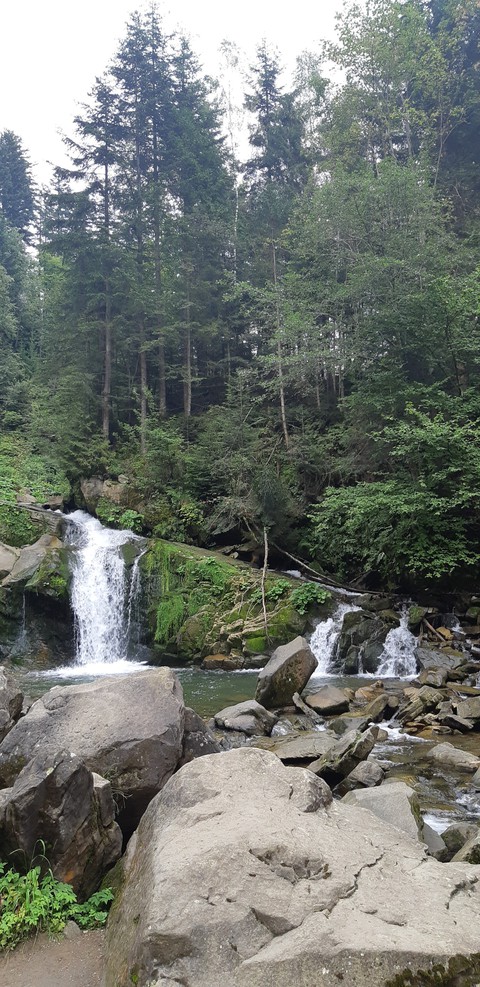 nature