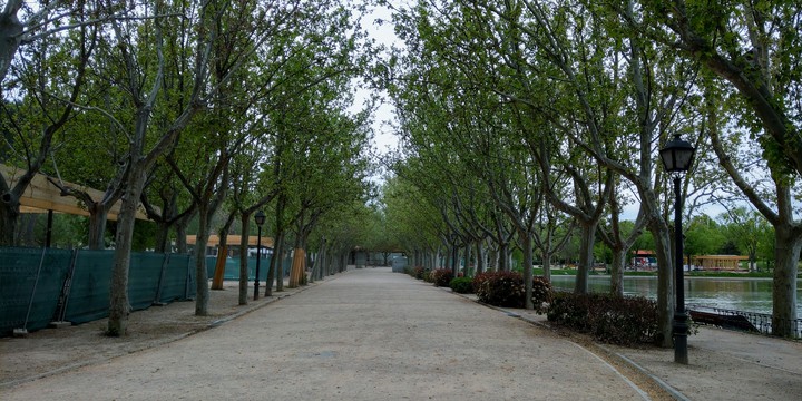 Green Pathway