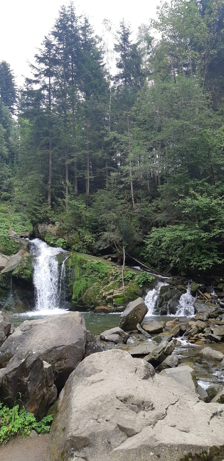 nature