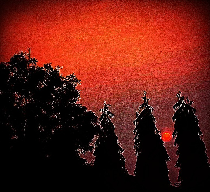 sunset