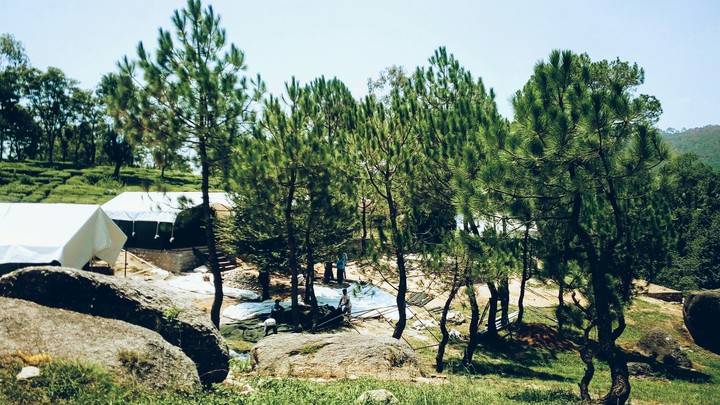 Palampur