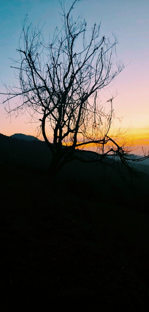 tinted sky