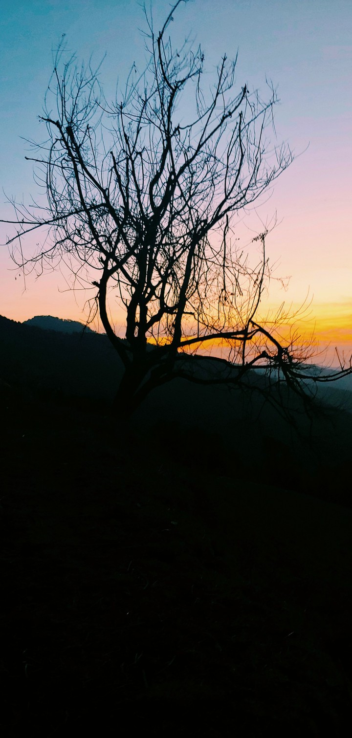 tinted sky
