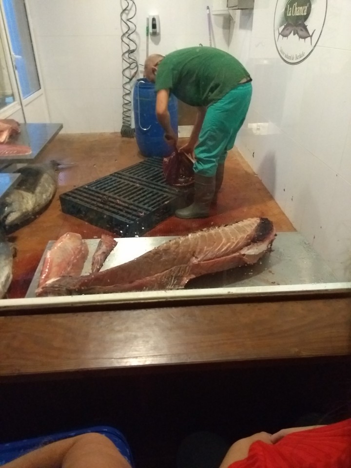 Museo del atún, Barbate
