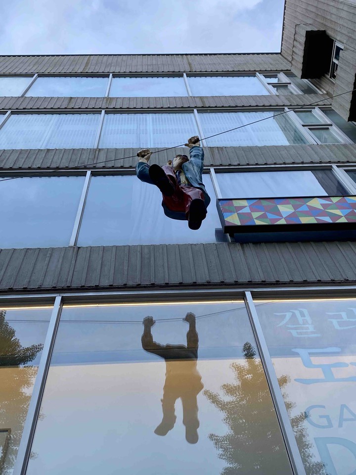 flying monkey