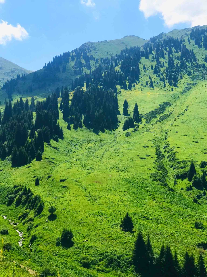 far from the city