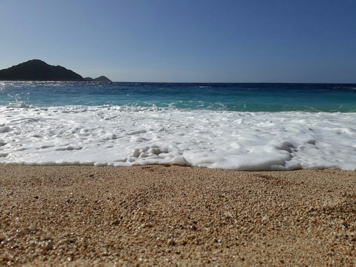 shore
