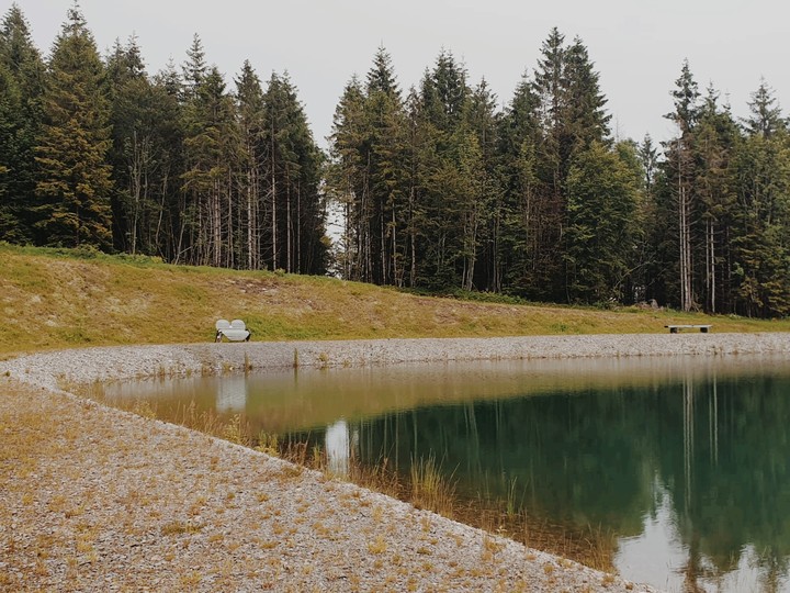 lake Todtnauberg