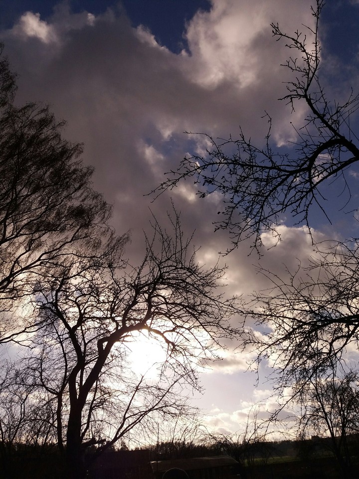 nature