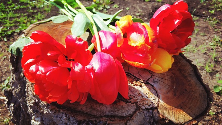Spring is coming