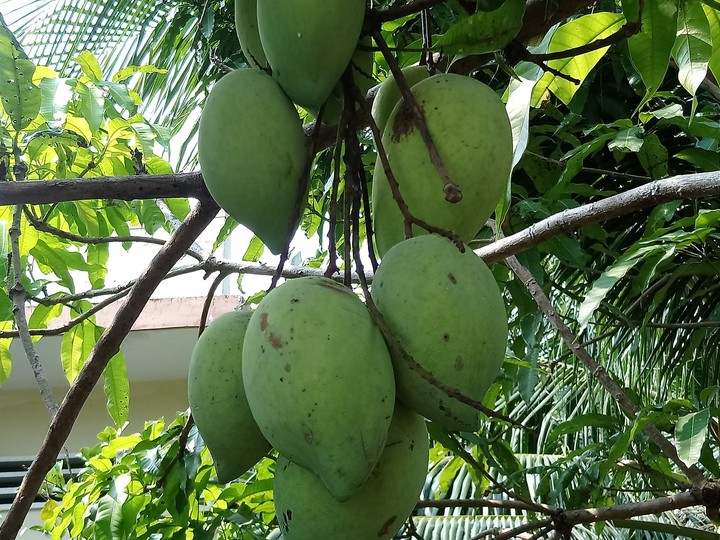 đợi ai