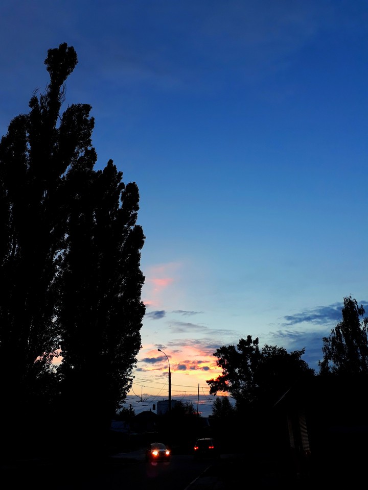 lovely evening