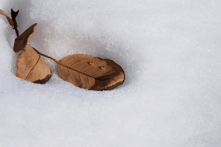 Холоду меня не одолеть...