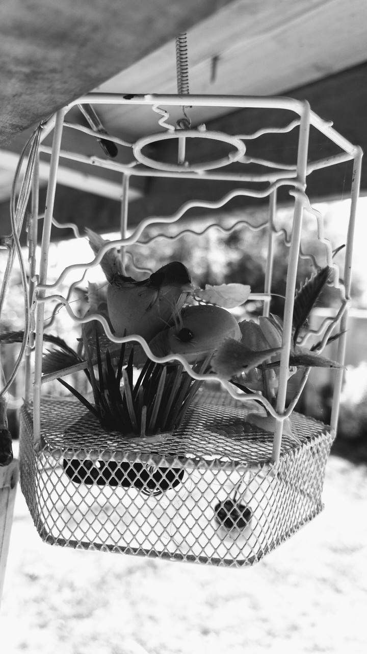 blanco y negro