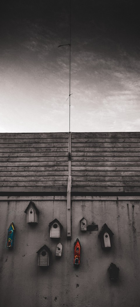 Runaway Birdhouse