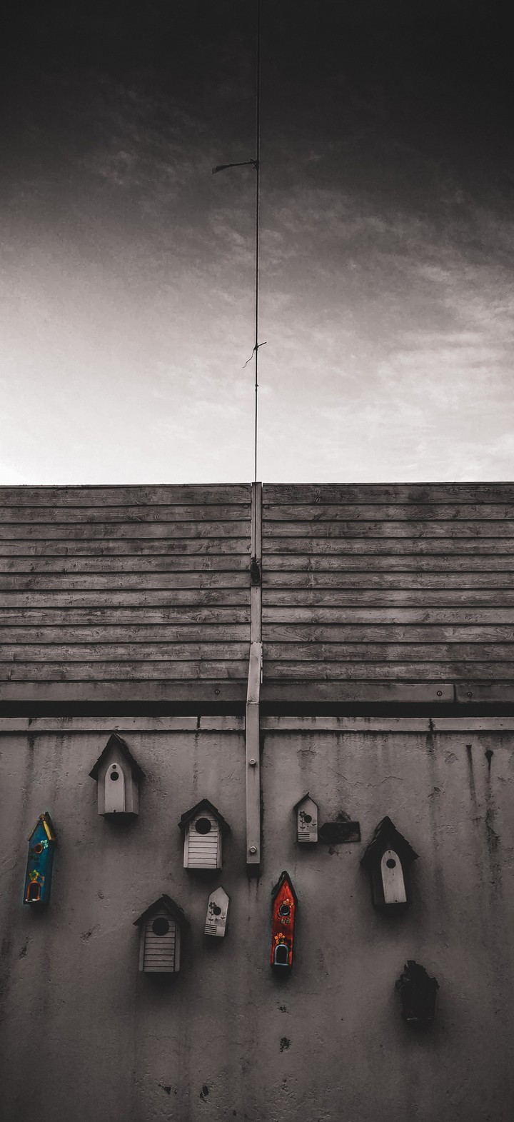 Runaway Birdhouse