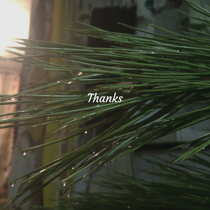 For everything.