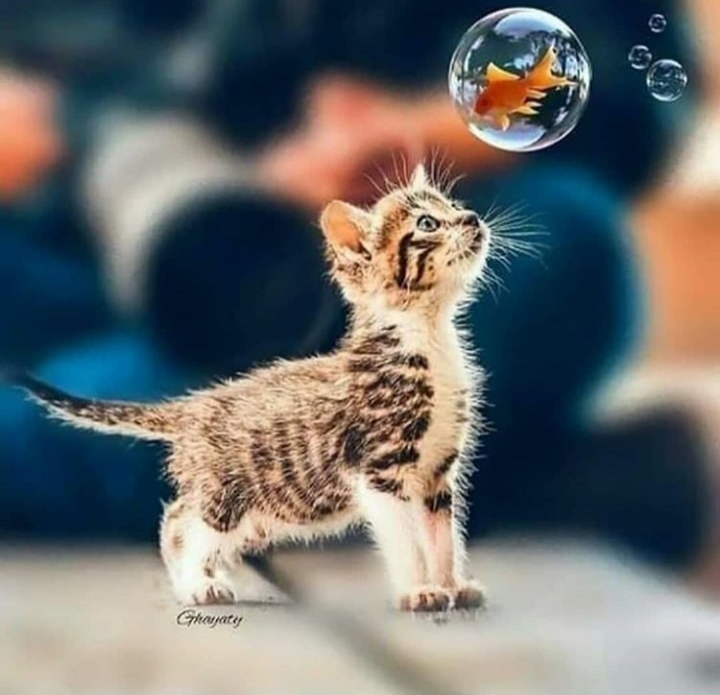 ?