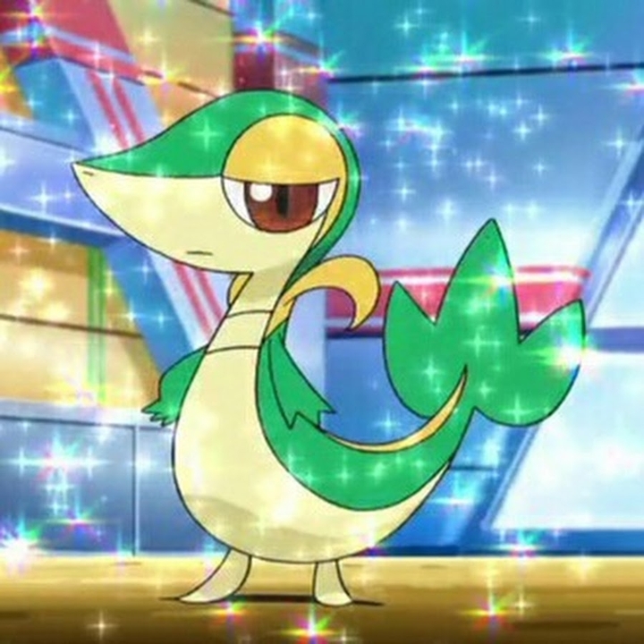 chutacha